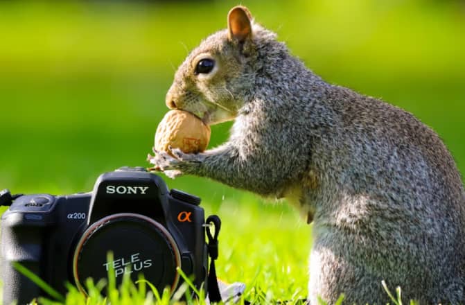Cobalt's Photo Competition
