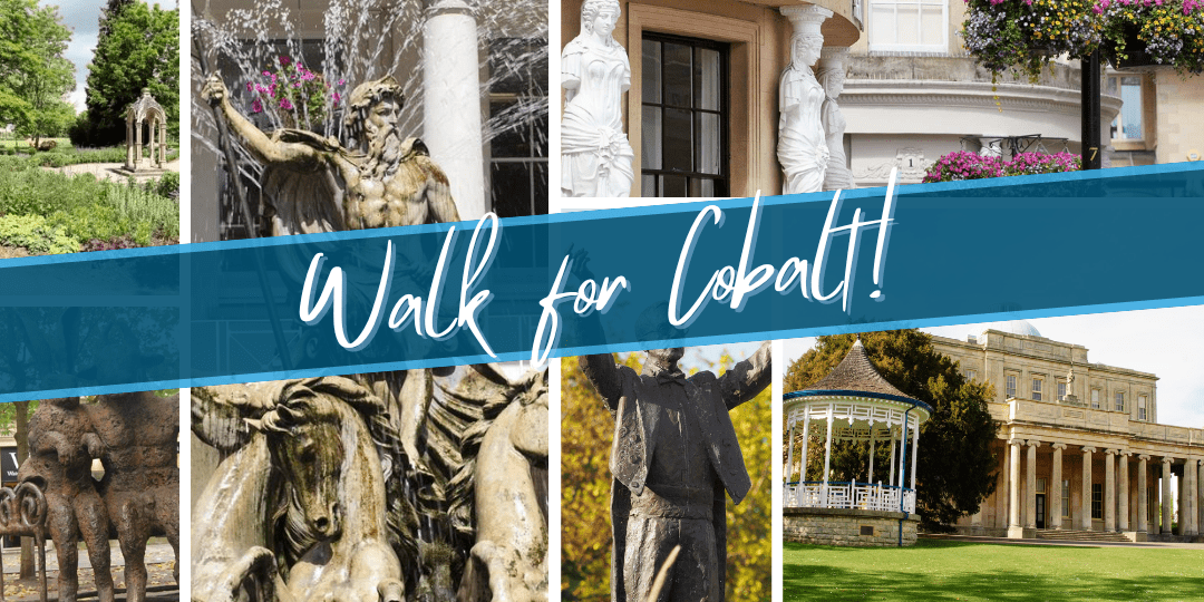 Walk For Cobalt 2026