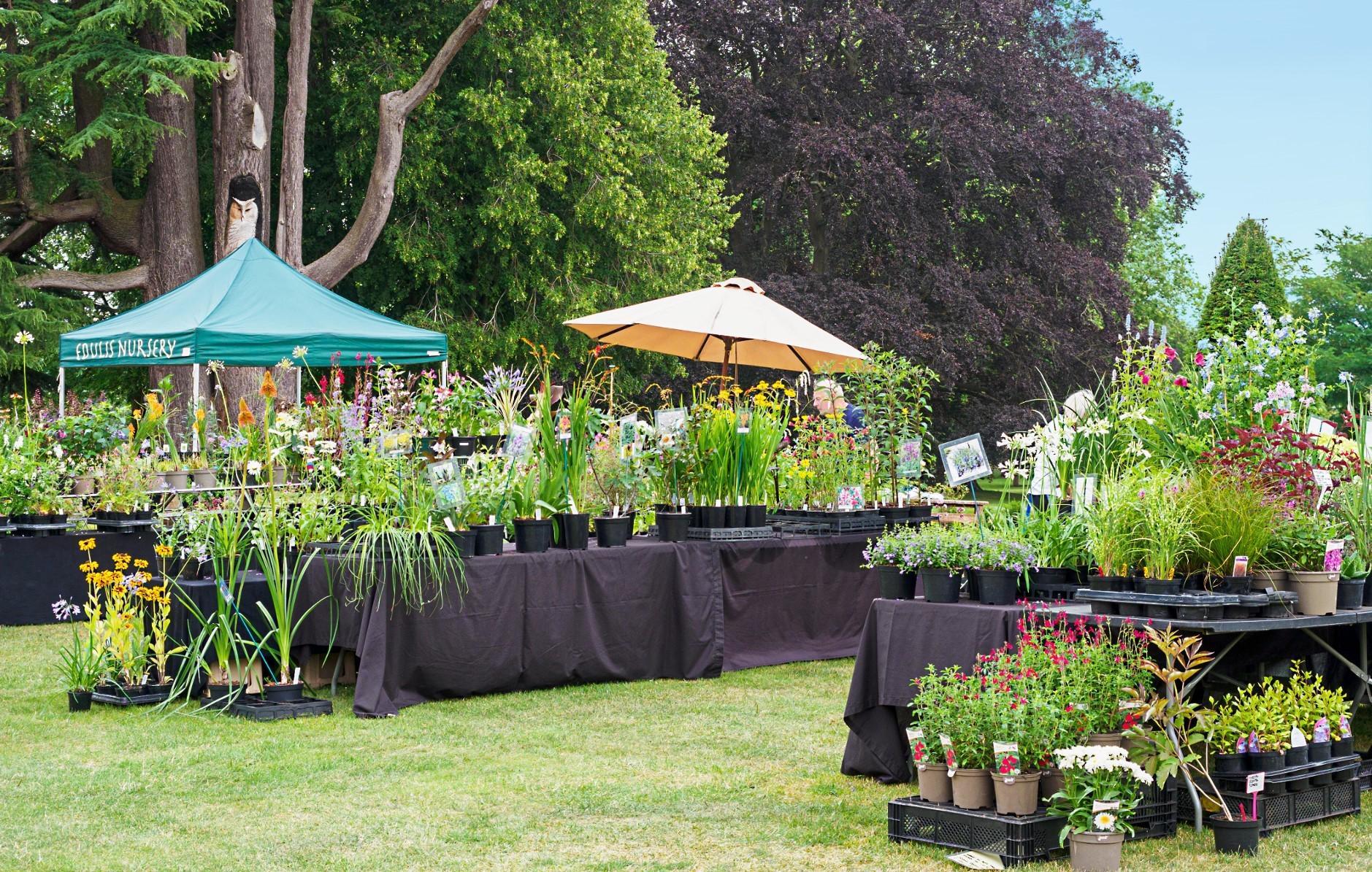 Rare Plant Fair at The Old Rectory, Quenington