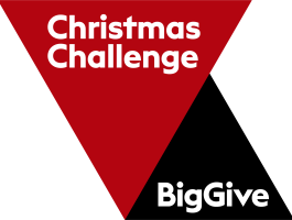 The Big Give Christmas logo